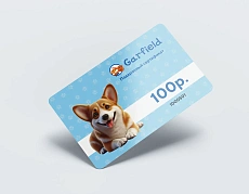 Подарочный сертификат на 100 рублей